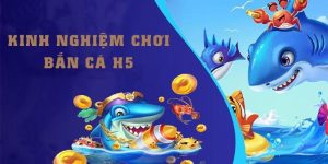 Bắn cá H5